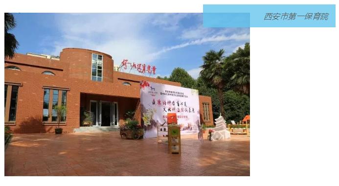 诺亚舟国际幼教聚焦:西安5大名园观摩活动